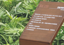 �������Ƽ�