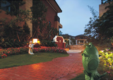 ��ͨ����